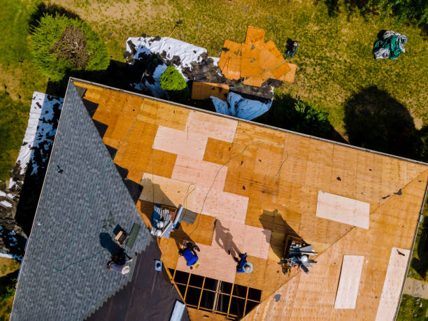 Best Storm Damage Roof Repair  in Vicksburg, MS