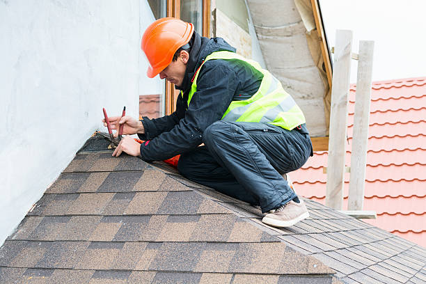 Roof Gutter Cleaning in Vicksburg, MS